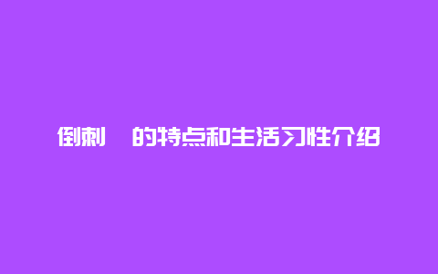 倒刺鲃的特点和生活习性介绍