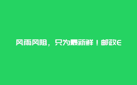 风雨风阻，只为最新鲜！邮政EMS“樱桃航班”凌晨首航