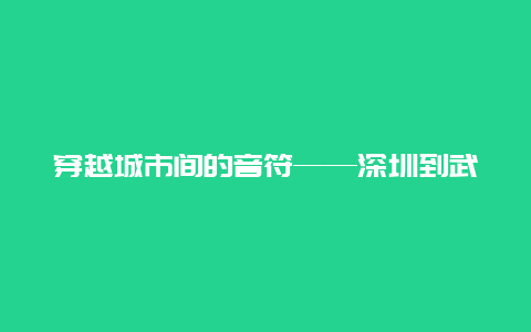 穿越城市间的音符——深圳到武昌的火车之旅