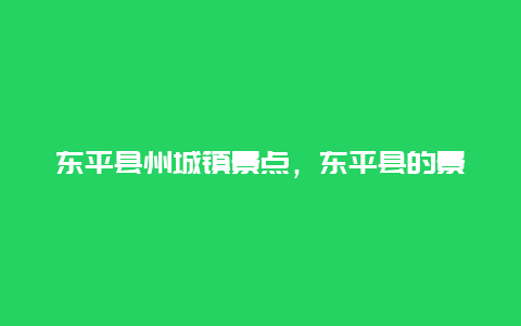 东平县州城镇景点，东平县的景点