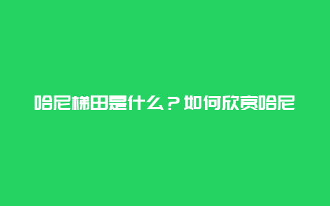 哈尼梯田是什么？如何欣赏哈尼梯田美景？