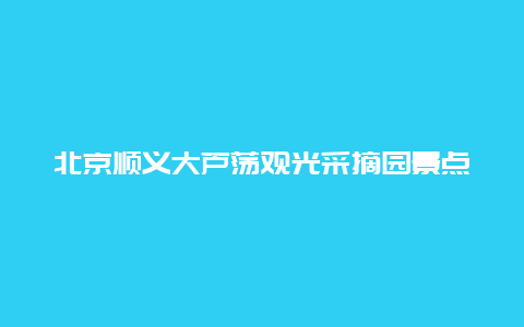 北京顺义大芦荡观光采摘园景点介绍