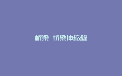 桥梁 桥梁伸缩缝