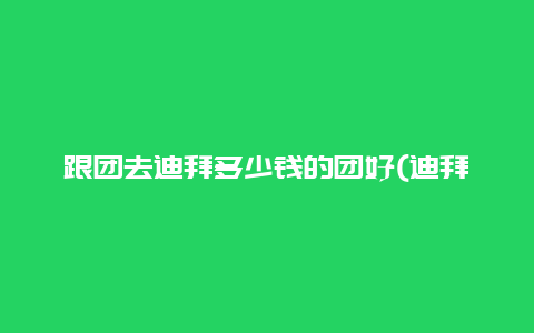 跟团去迪拜多少钱的团好(迪拜旅游团六日游价格)