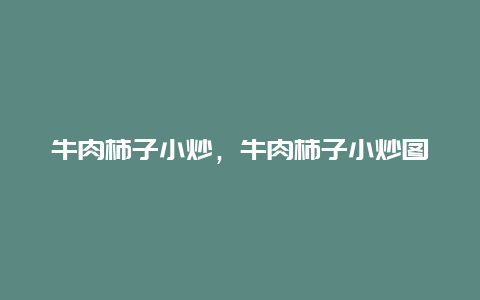 牛肉柿子小炒，牛肉柿子小炒图片