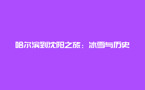 哈尔滨到沈阳之旅：冰雪与历史的交融