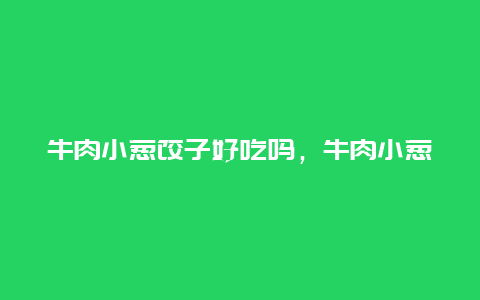 牛肉小葱饺子好吃吗，牛肉小葱饺子好吃吗怎么做