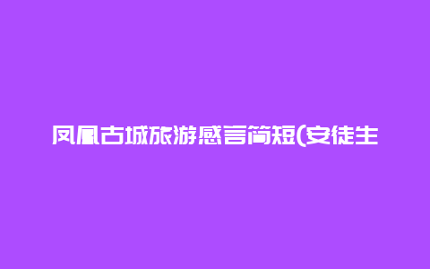 凤凰古城旅游感言简短(安徒生童话凤凰读后感？