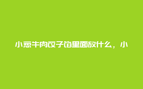 小葱牛肉饺子馅里面放什么，小葱牛肉馅饺子怎么调馅