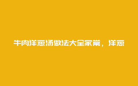 牛肉洋葱汤做法大全家常，洋葱肉汤的做法