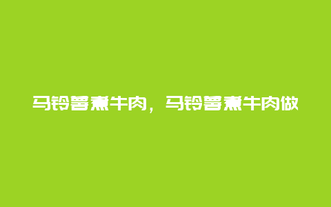 马铃薯煮牛肉，马铃薯煮牛肉做法