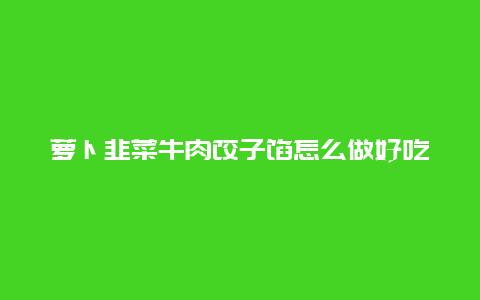 萝卜韭菜牛肉饺子馅怎么做好吃，牛肉萝卜饺子馅怎么做好吃窍门