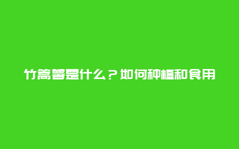 竹篙薯是什么？如何种植和食用？