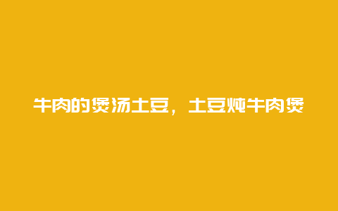 牛肉的煲汤土豆，土豆炖牛肉煲的做法