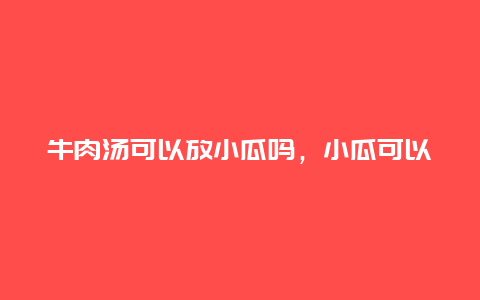 牛肉汤可以放小瓜吗，小瓜可以和牛肉一起吃吗