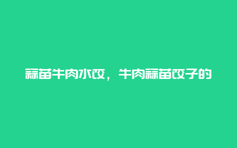 蒜苗牛肉水饺，牛肉蒜苗饺子的做法窍门