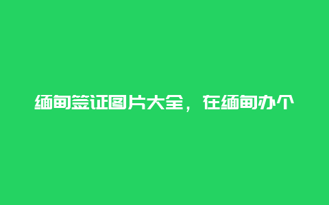 缅甸签证图片大全，在缅甸办个护照和签证需要多少钱？