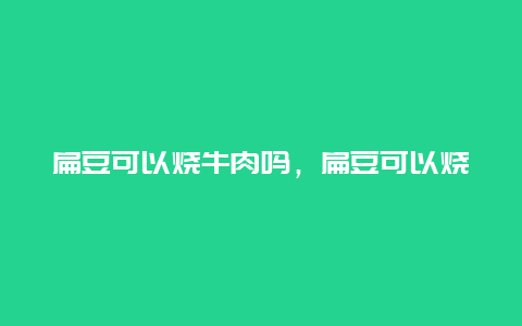 扁豆可以烧牛肉吗，扁豆可以烧牛肉吗怎么做