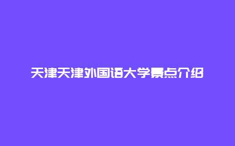 天津天津外国语大学景点介绍