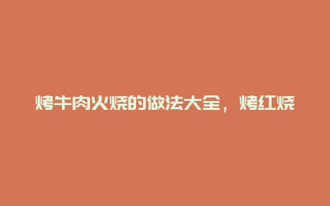 烤牛肉火烧的做法大全，烤红烧牛肉的做法大全