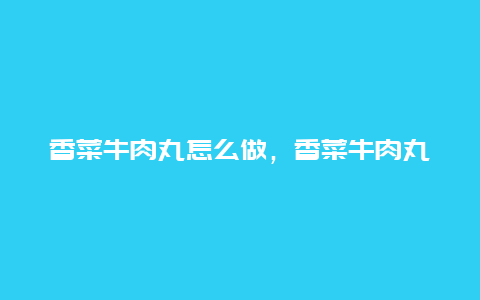 香菜牛肉丸怎么做，香菜牛肉丸怎么做的