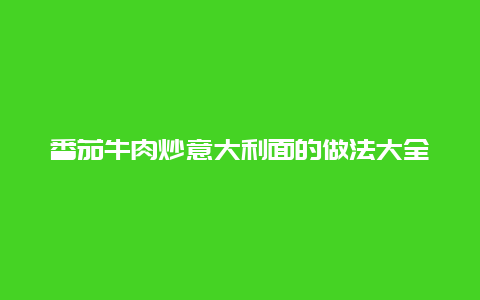 番茄牛肉炒意大利面的做法大全家常做法视频，番茄牛肉炒意大利面的做法大全家常做法视频教程