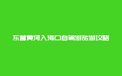 东营黄河入海口自驾游旅游攻略？东营景点排行榜前十名