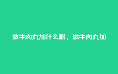 做牛肉丸加什么粉，做牛肉丸加什么粉好吃