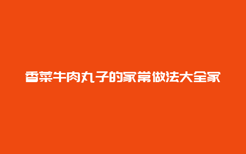 香菜牛肉丸子的家常做法大全家常做法，牛肉丸子的吃法大全家常菜