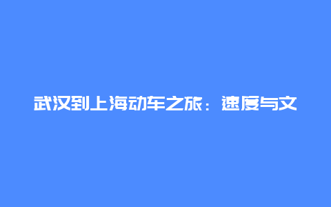 武汉到上海动车之旅：速度与文化的交织