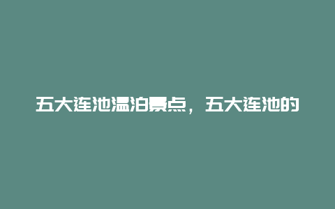 五大连池温泊景点，五大连池的温泊介绍一下