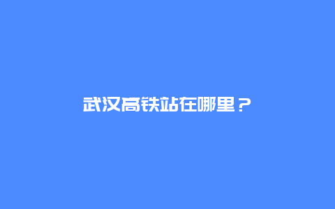 武汉高铁站在哪里？