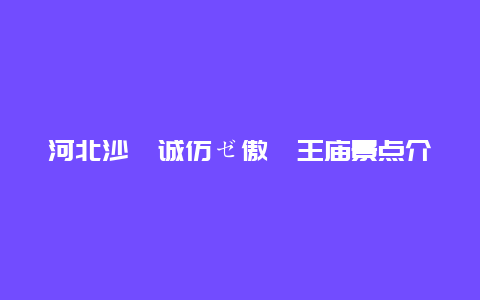 河北沙�诚仿ゼ傲�王庙景点介绍