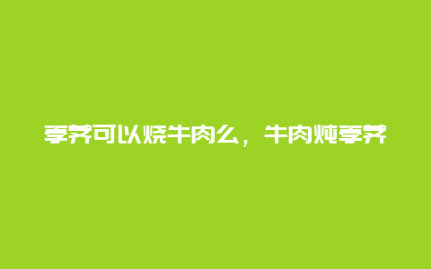 荸荠可以烧牛肉么，牛肉炖荸荠