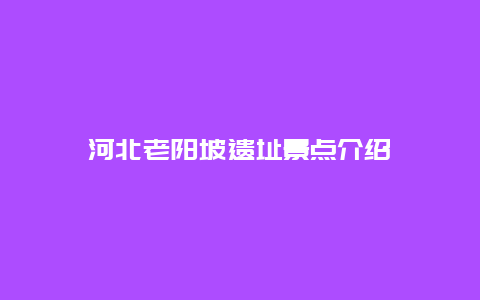 河北老阳坡遗址景点介绍