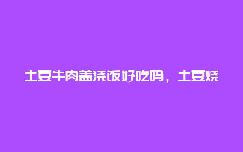 土豆牛肉盖浇饭好吃吗，土豆烧牛肉盖浇饭