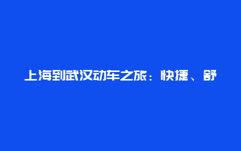 上海到武汉动车之旅：快捷、舒适与美景的完美结合