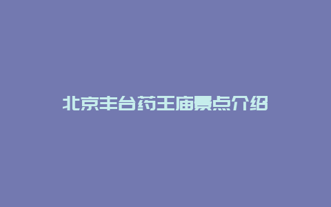 北京丰台药王庙景点介绍