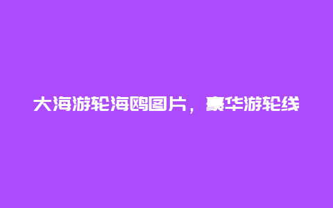 大海游轮海鸥图片，豪华游轮线路推荐？