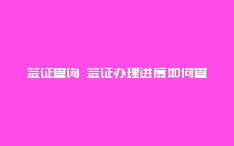 签证查询 签证办理进度如何查询