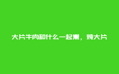 大片牛肉和什么一起煮，炖大片牛肉需要放哪些配料