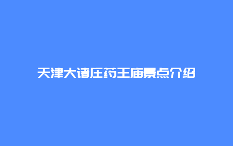 天津大诸庄药王庙景点介绍