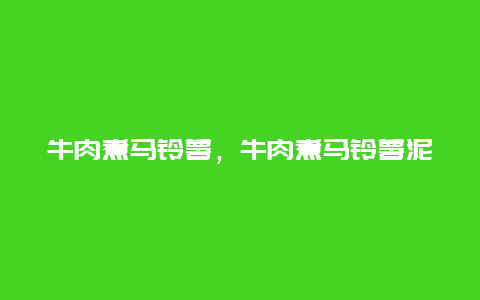 牛肉煮马铃薯，牛肉煮马铃薯泥