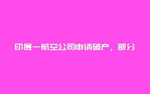 印度一航空公司申请破产，部分航班停飞→