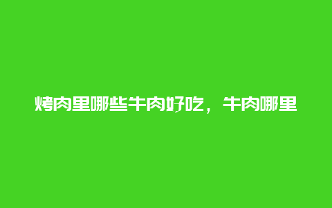 烤肉里哪些牛肉好吃，牛肉哪里的肉烤着好吃