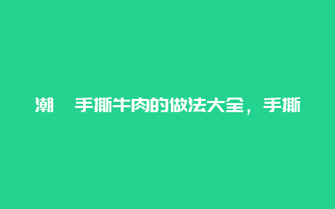 潮汕手撕牛肉的做法大全，手撕牛肉的家常做法窍门