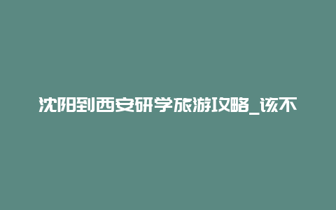 沈阳到西安研学旅游攻略_该不该带正上小学的女儿出去旅游？