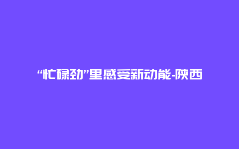 “忙碌劲”里感受新动能-陕西在建高铁一线见闻