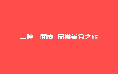 二胖擀面皮_品尝美食之旅