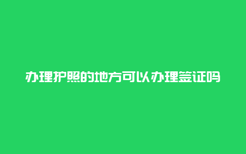 办理护照的地方可以办理签证吗？护照是指定一个国家的吗？